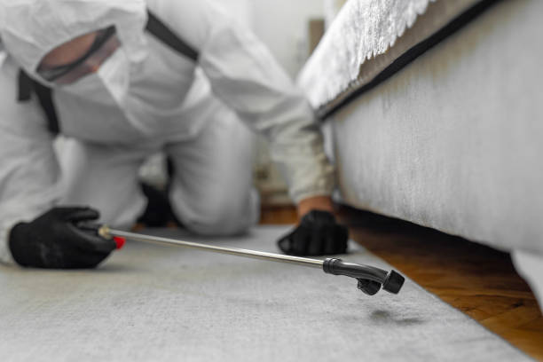 Professional Cockroach Control technician working in Stayton, OR