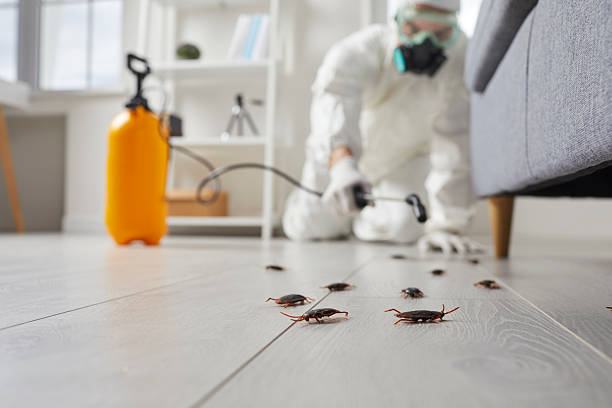 Trusted Fumigation Services service in Stayton, OR - Nex Pest Control