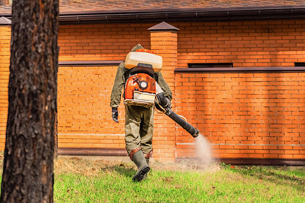 Trusted Emergency Pest Control service in Stayton, OR - Nex Pest Control
